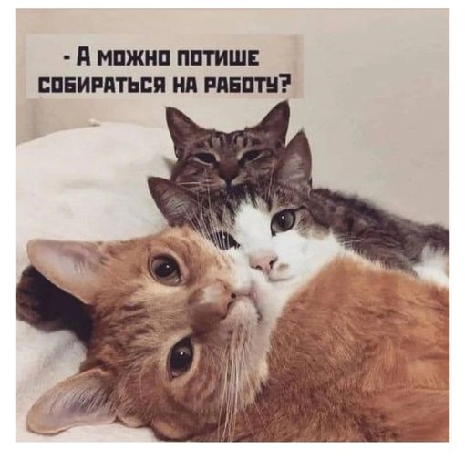 П ипжм ШПИШЕ ШЕИМТЪЕП Нд ППШ