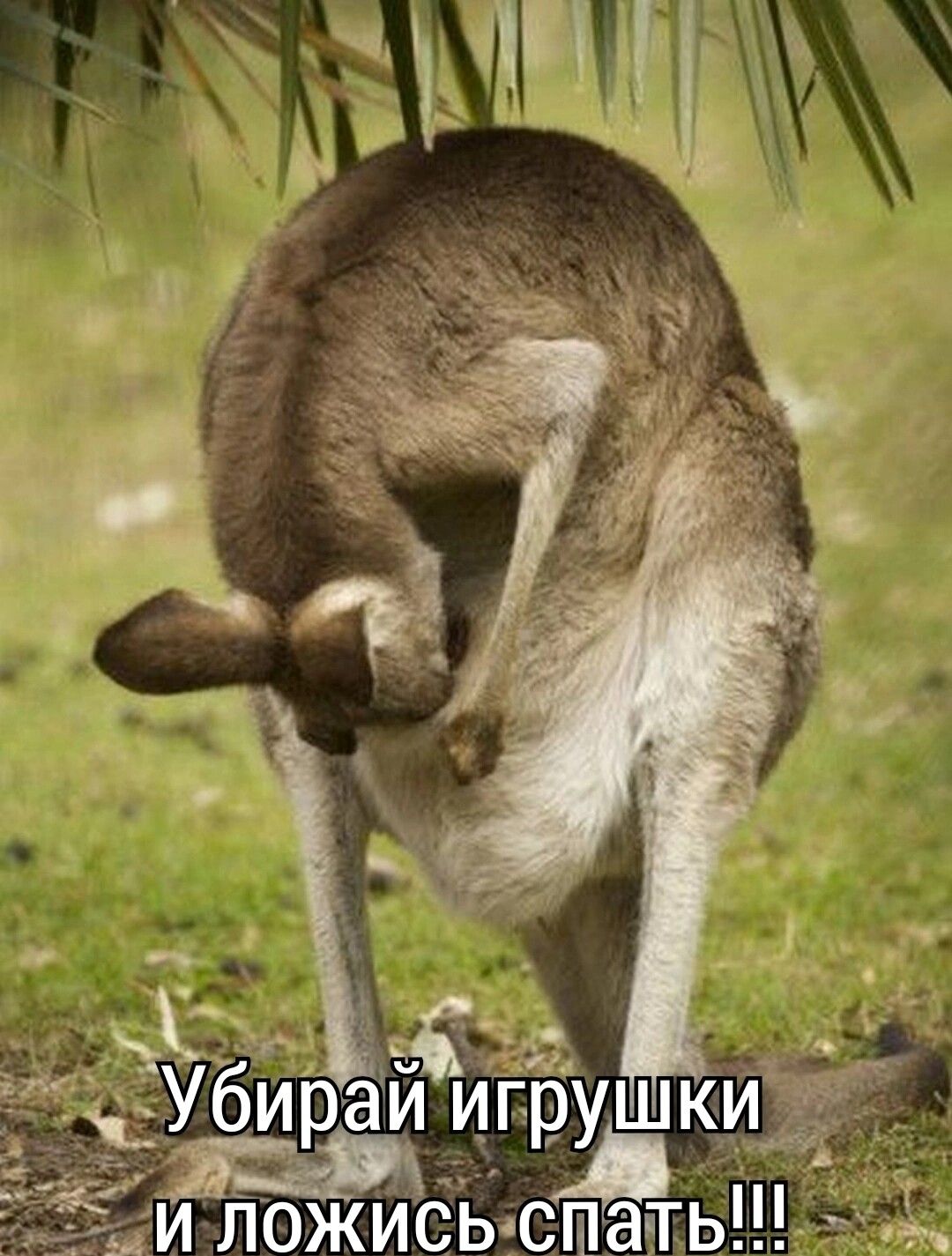 Ч Ёж ицэущшкид Уб иа Жк и ложисіыс ШЭТЬ ъ