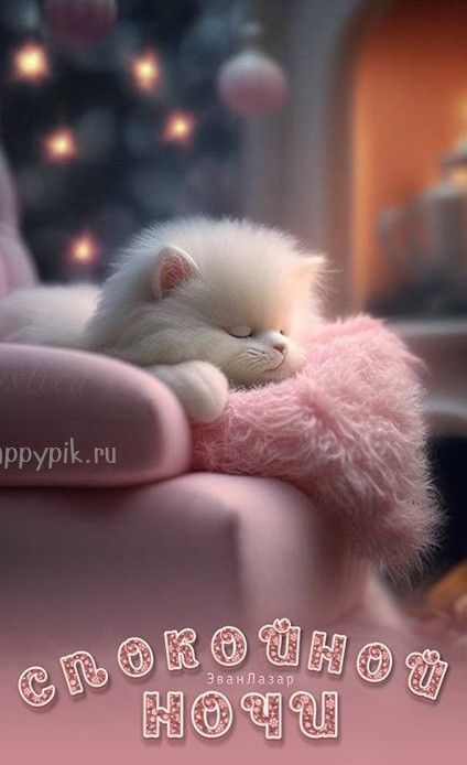 рур