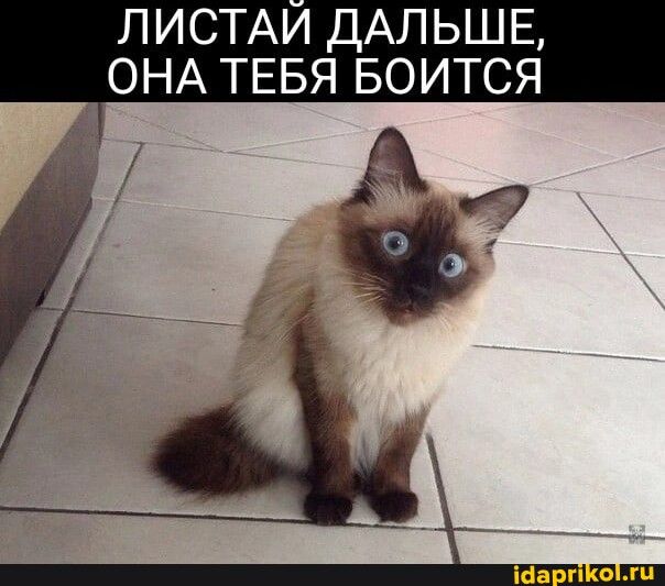 ЛИСТАИ ДАЛЬШЕ ОНА ТЕБЯ БОИТСЯ