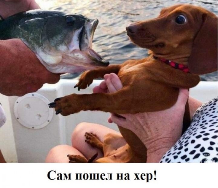 ср и М и С