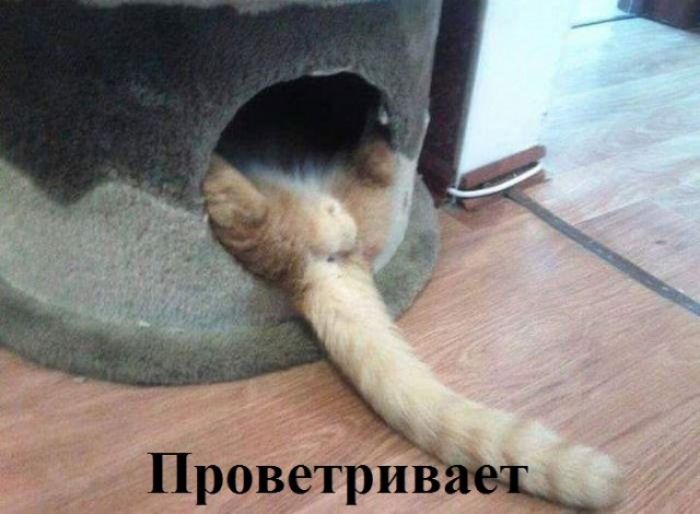 Проветрив