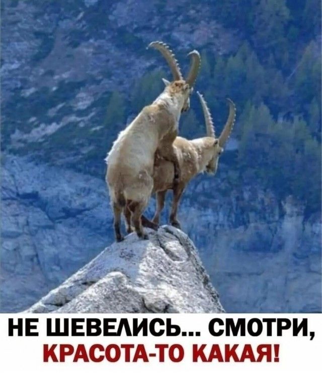 _ Нъ М НЕ ШЕВЕАИСЬ СМОТРИ КРАСОТА ТО КАКАЯ