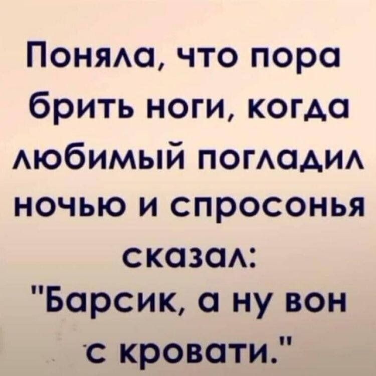 Поняш что пора брить ноги кома Аюбимый ПОГАОАИА ночью и спросонья скозом Барсик ну вон с кровати