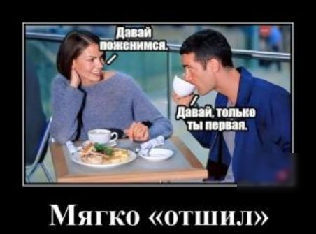 Мягко отшил