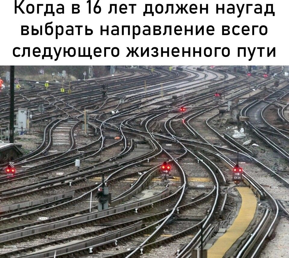огда в пет должен наугад выбрать направление всего следующего жизненного пути