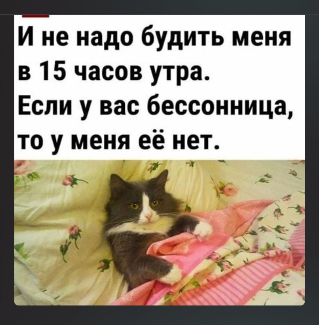 И не надо будить меня в 15 часов утра Если у вас бессонница то у меня её нет