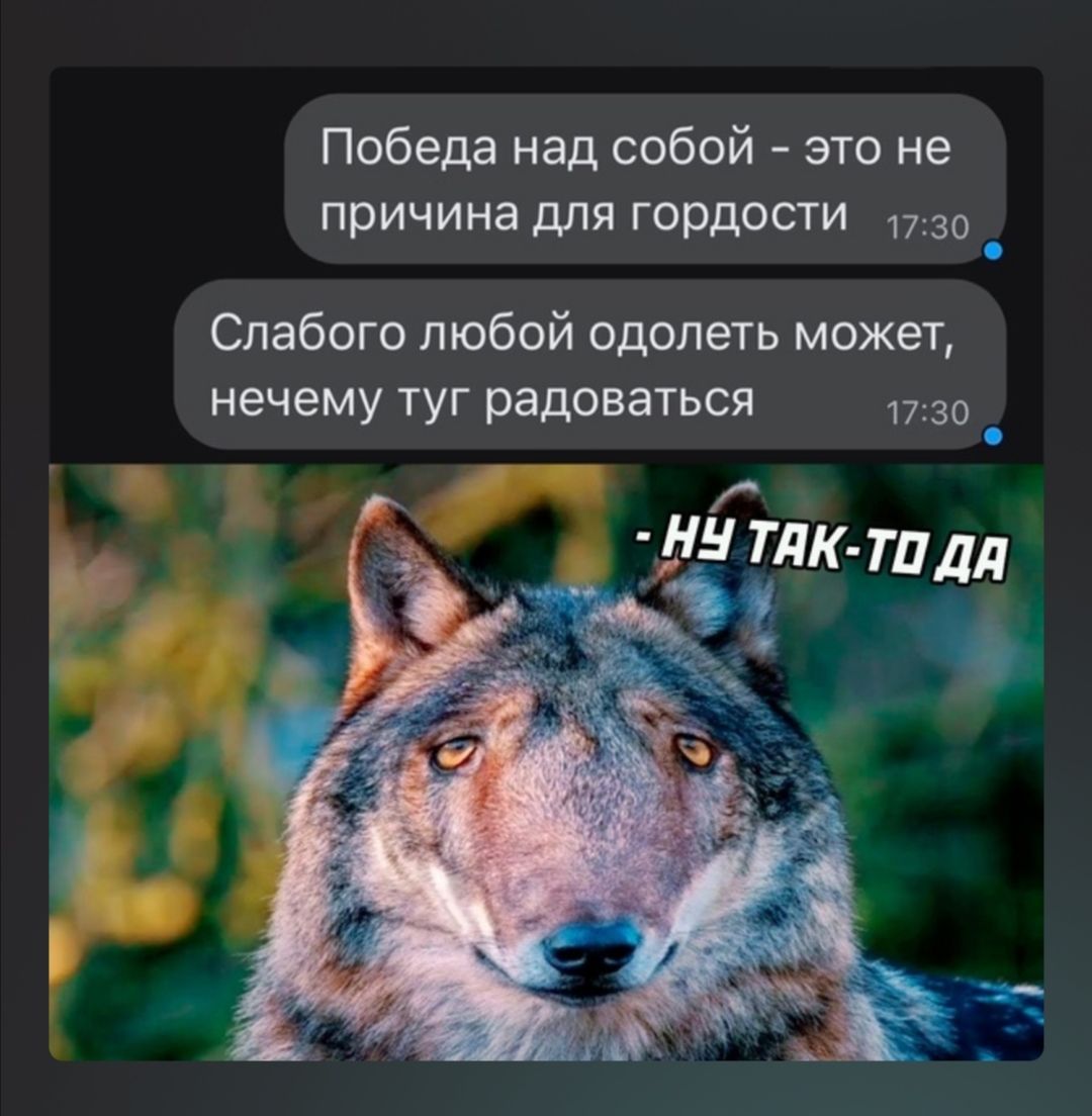 Победа над собой это не причина для гордости то _ Спабого любой одолеть может нечему ТУГ радоваться 1731 дни тлк тпдд