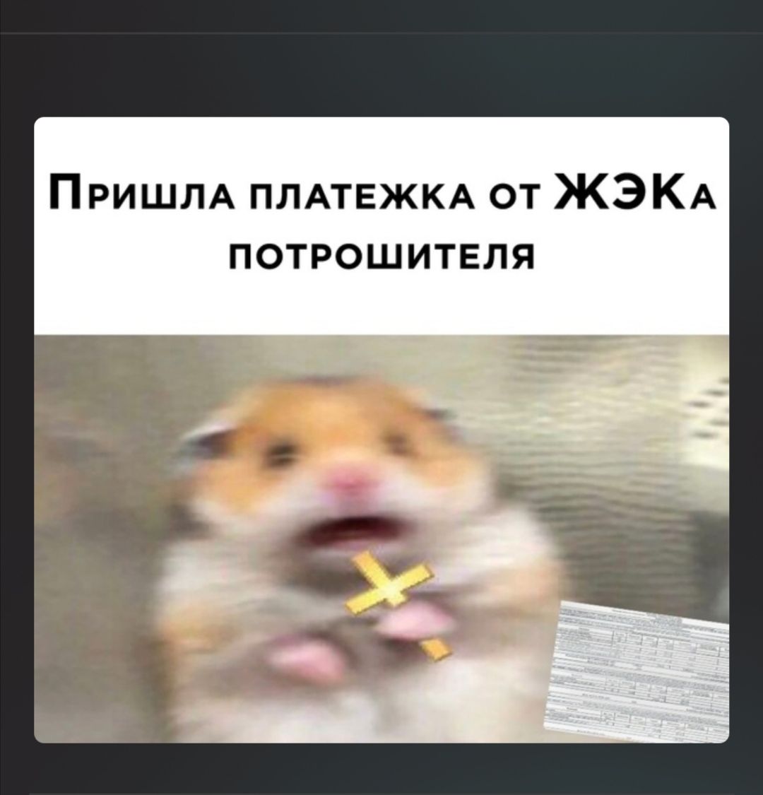 Пришлд ПЛАТЕЖКА от ЖЭКА потрошитепя