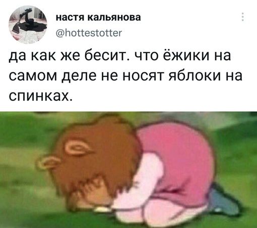 ВСТЯ КЗПЬПНОЕЗ пысезюиег да как же бесит что ёжики на самом деле не носят яблоки на спинках