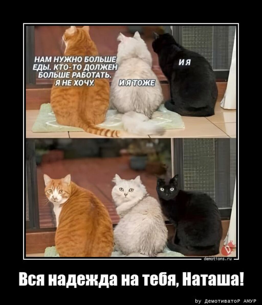 Всп надежда на тебя Наташа л