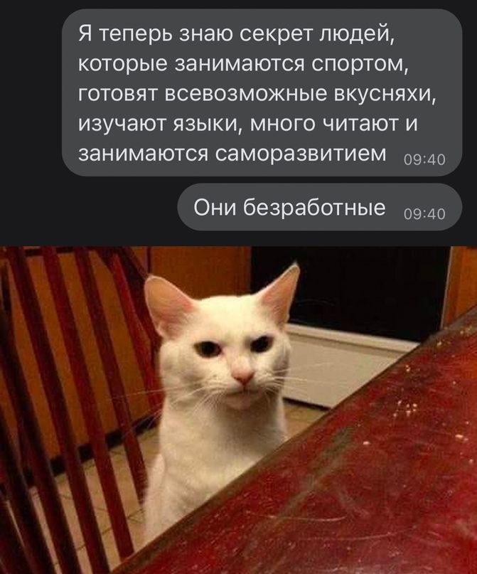 Я теперь знаю секрет людей КОТОРЫЕ ЗЕНИМЭЮТСЯ спортом ГОТОВЯТ всевозможные ВКУСНЯХИ изучают языки много читают и занимаются саморазвитием Они безработные 09140