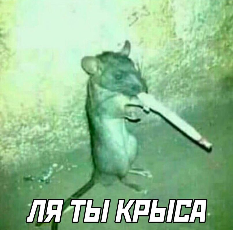 итпты кйыпд