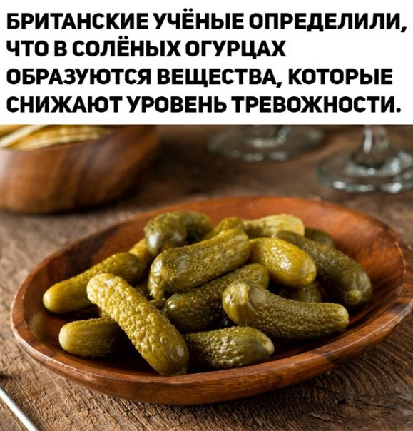 БРИТАНСКИЕ УЧЁНЫЕ ОПРЕДЕЛИЛИ ЧТО В СОЛЁНЫХ ОГУРЦАХ ОБРАЗУЮТСЯ ВЕЩЕСТВА КОТОРЫЕ СНИЖАЮТ УРОВЕНЬ ТРЕВОЖНОСТИ
