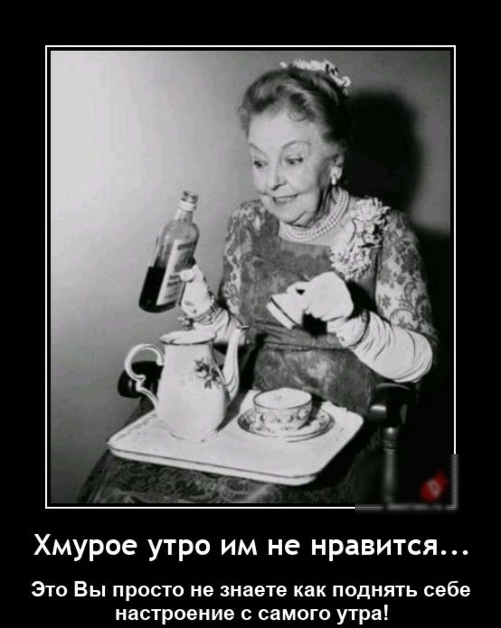 Хмурое утро им не нравится Это Вы просто не знаете как поднять себе настроение самого утра