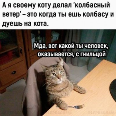 А я своему коту делал колбасный ветер это когда ты ешь колбасу и дуешь на кота пМда вот какой ты человек оказывается с гнипьцой