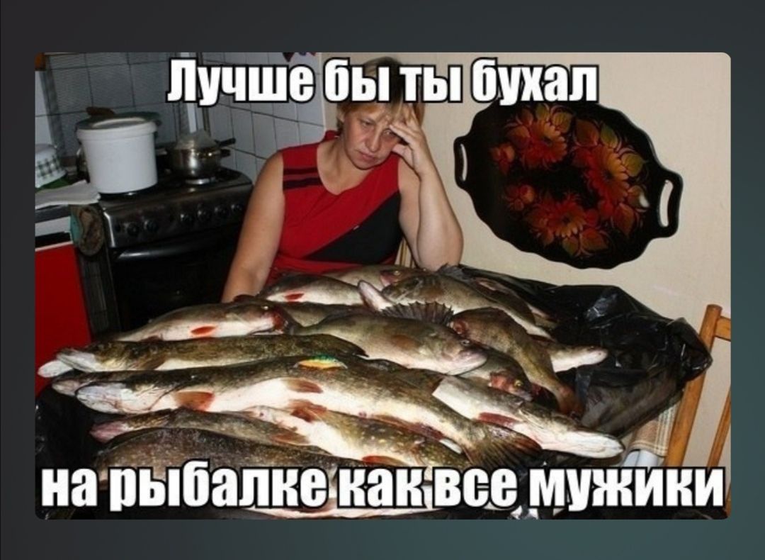 иап Шапиеди анты мужики