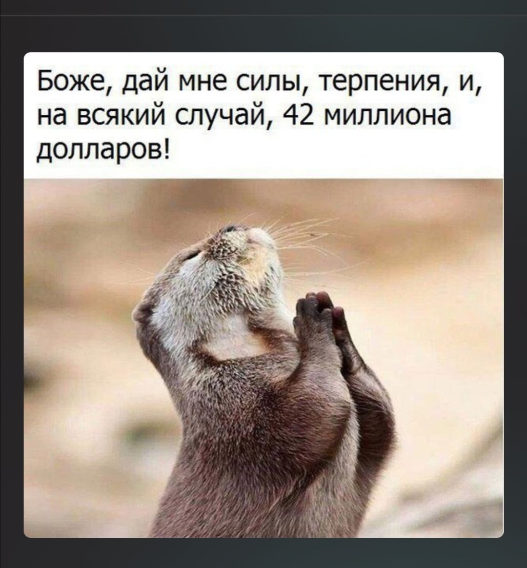 Боже дай мне сипы терпения и на всякий спучай 42 миллиона долларов