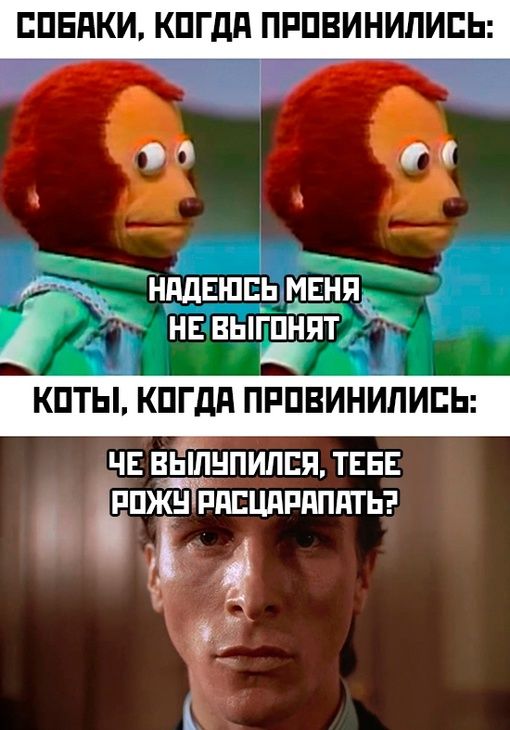 ЕПБПКИ КПГдд ПРПВИНИЛИБЬ д _ НддЕШЕЬ МЕНЯ НЕ ВЫГПНПТ КПТЫ КПГДЯ ПРПВИНИЛИЕЬ чъ вьшнпипся тва пжн пдпцдпдпптьэ