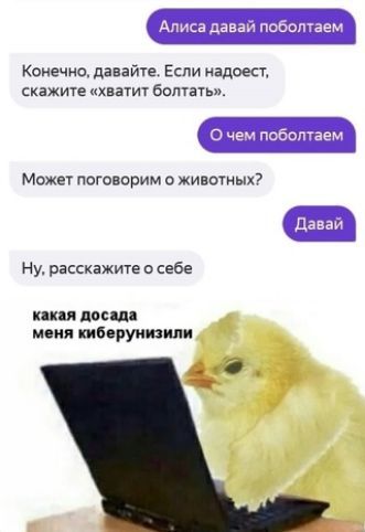 Алиса давай поботаем Конечно давайте Если надоест скажите хвагит болтать 0 чем поболтаем Может поговорим о животных даваи Ну расскажите о себе пил дост мсия тбвруиюили