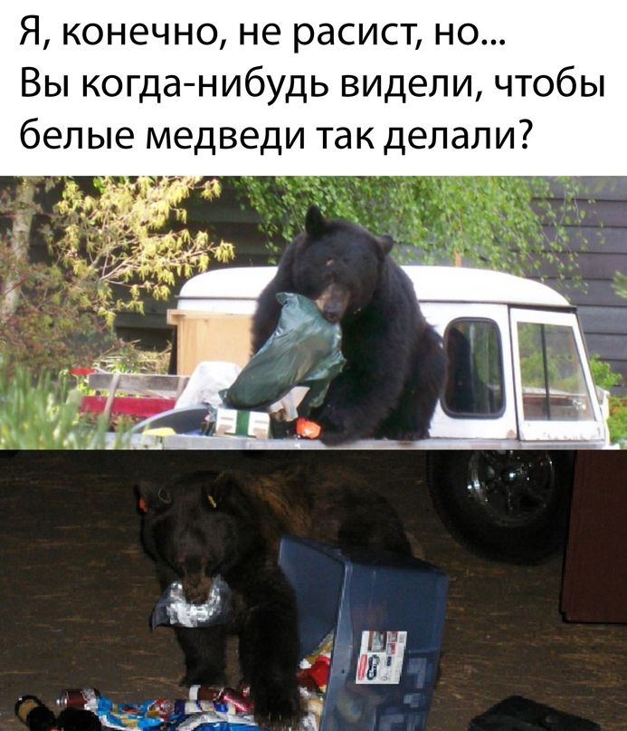 Я конечно не расист но Вы когда нибудь видели чтобы белые медведи так делали