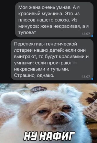 Моя жена очень умная А я красивый мужчина Это из плюсов нашего союза Из минусов жена некрасивая а я туповат Перспективы генетической лотереи наших детей ЕСЛИ ОНИ выиграют то будут красивыми и умными если проиграют некрасивыми и тупыми Страшно однако