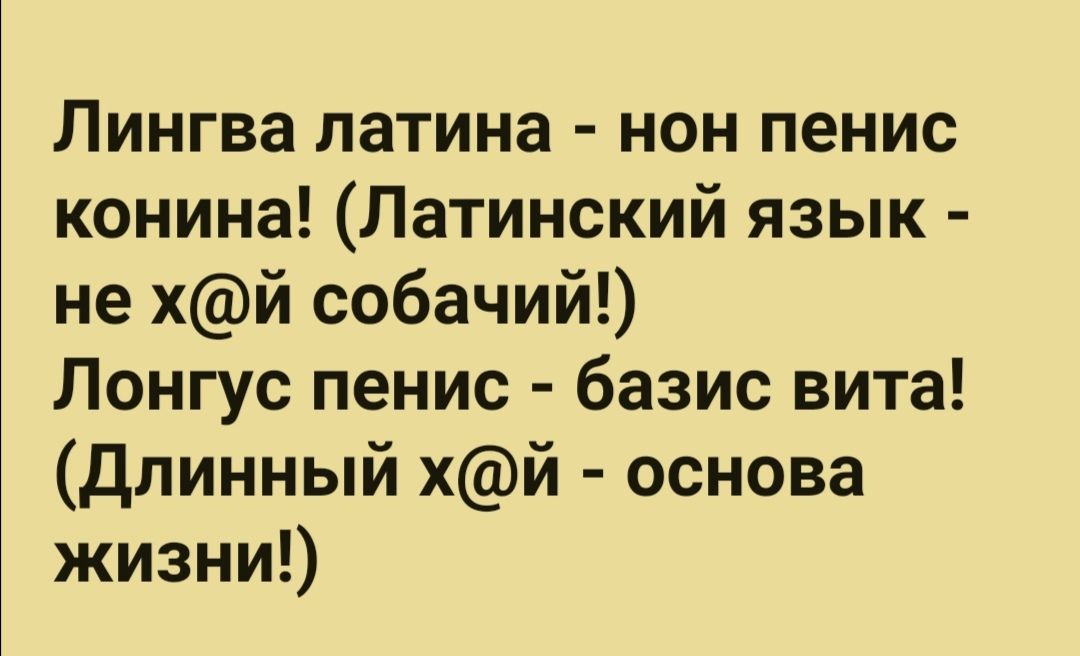 Lingua latina non. Устами младенца глаголет истина картинки. Линн пиоа.