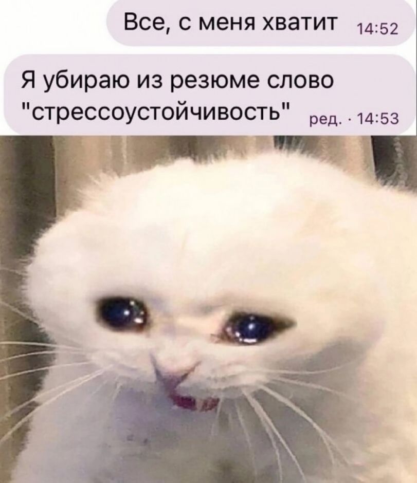 Все с меня хватит 1452 я убираю из резюме слово стрессоустойчивость ед 1453