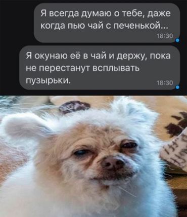 Я всегда думаю о тебе даже когда пью чай с печенькой В 30 Я скунаю её в чай и держу пока не перестанут всплывать пузырьки зо