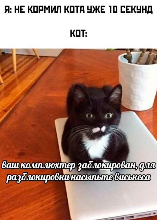 Я НЕ КПРМИЛ КПТП НЖЕ Ш ЕЕКННД