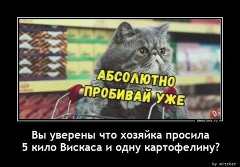 Вы уверены по хозяйка просила 5 кило Вискаса и одну картофелину