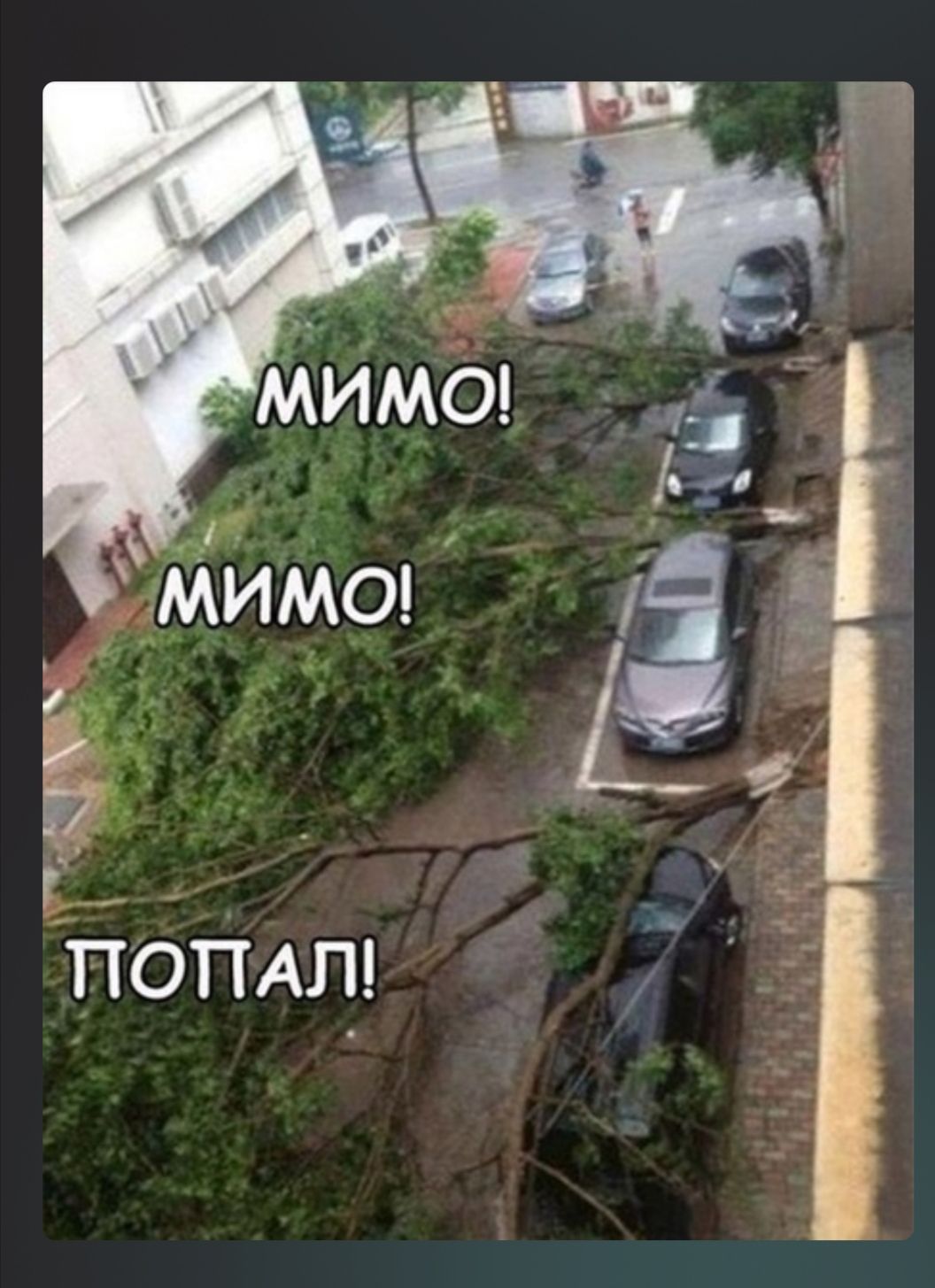 пбПАлд