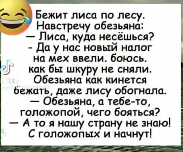 _ 3 Бежит лиса по лесу Навстречу обезьяно Лиса куда несёшься Да у нас новый налог на мех ввели боюсь как бы шкуру не сняли Обезьяна как кинется бежать даже лису обогнала Обезьяна а тебето голожопой чего бояться А то нашу страну не знаю С голожопых и начнут