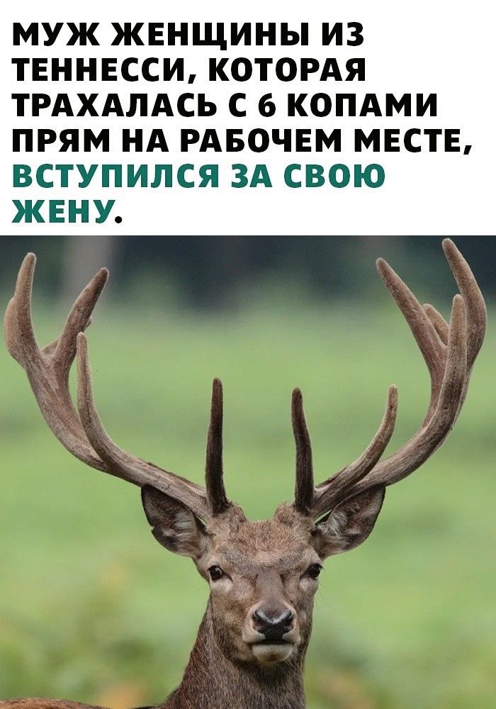 МУЖ ЖЕНЩИНЫ ИЗ ТЕННЕССИ КОТОРАЯ ТРАХАЛАСЬ С 6 КОПАМИ ПРЯМ НА РАБОЧЕМ МЕСТЕ ВСТУПИЛСЯ ЗА СВОЮ ЖЕНУ