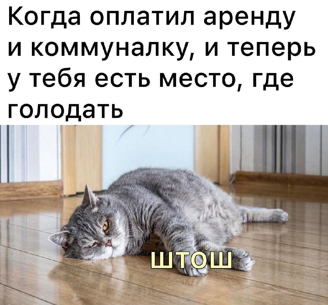 Когда оплатил аренду и коммуналку и теперь у тебя есть место где голодать Н