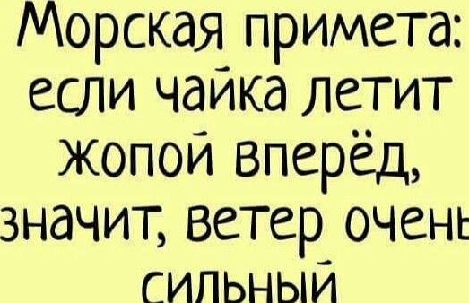 Морская примета если чаикд летит жопой Вперёд значит ветер очень сильным