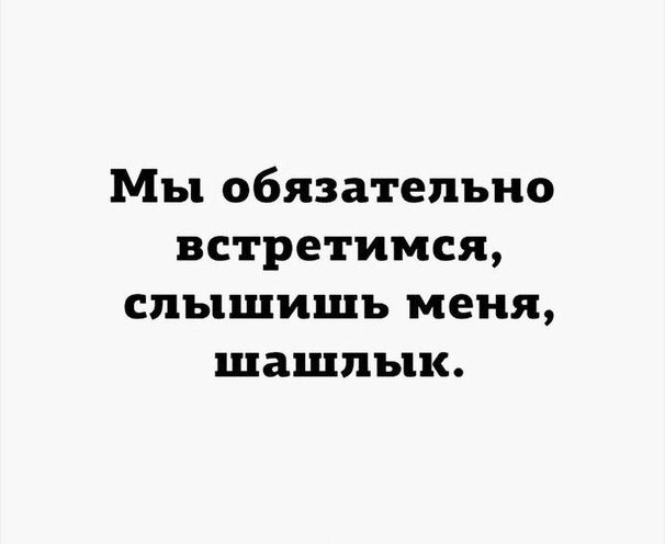 Мы обязательно встретимся слышишь меня шашлык