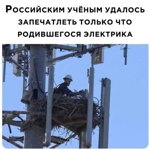 РОССИЙСКИМ УЧЁНЫМ УДАЛОСЬ ЗАПЕЧАТЛЕТЬ ТОЛЬКО ЧТО РОДИВШЕГОСЯ ЭЛЕКТРИКА