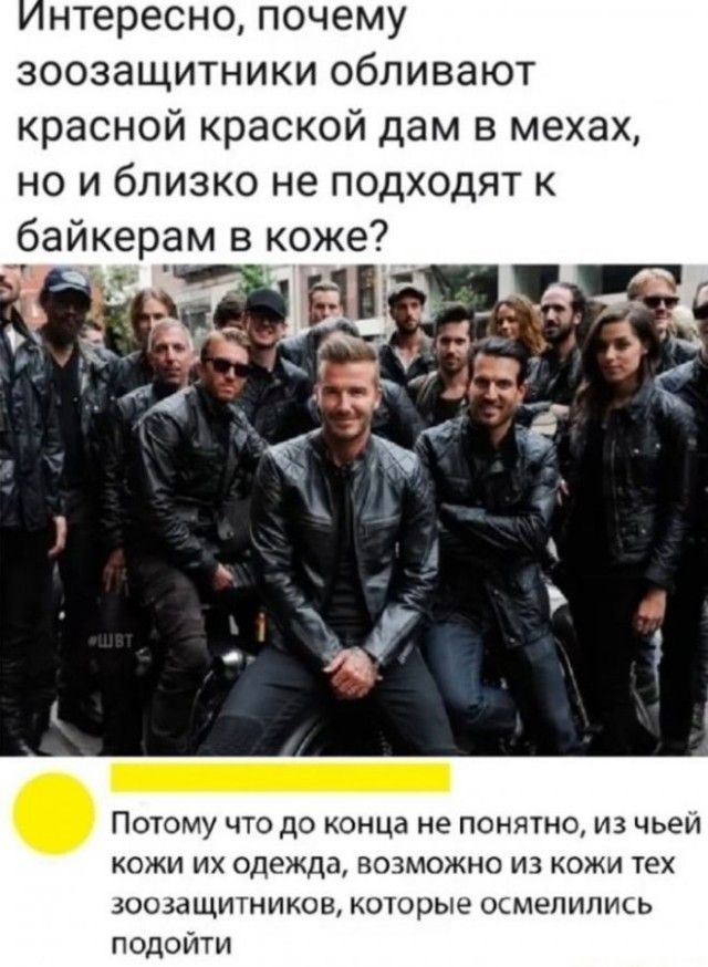 нтересно почему зоозащитники обливают красной краской дам в мехах но и близко не подходят к 6айкер_ам в коже Потому что до конца не понятно из чьеи кожи их одежда возможно из кожи тех зошащитникон которые осмелились подойти