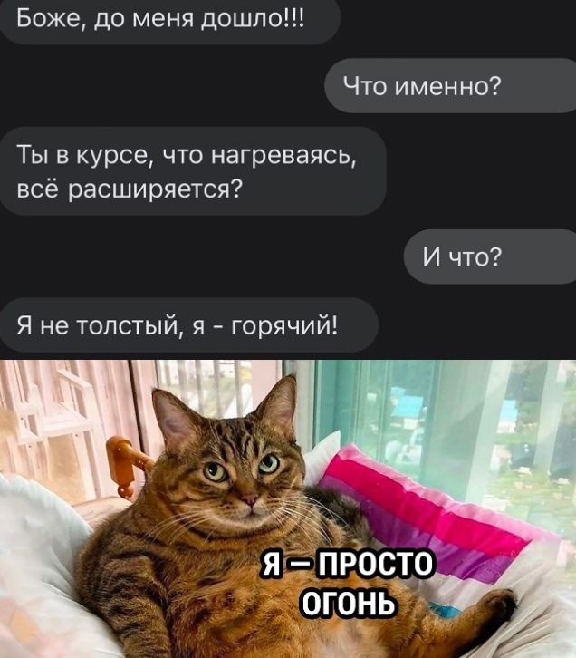 Боже до меня дошло Что именно Ты в курсе что нагреваясь всё расширяется И что Я не толстый я горячий