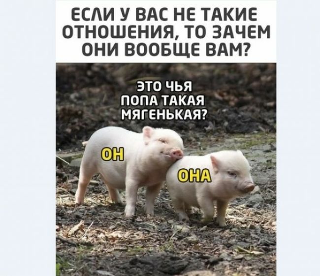 ЕСАИ У ВАС НЕ ТАКИЕ ОТНОШЕНИЯ ТО ЗАЧЕМ ОНИ ВООБЩЕ ВАМ ЭТО чья ПОПА ТАКАЯ МЯГЕНЬКАЯ