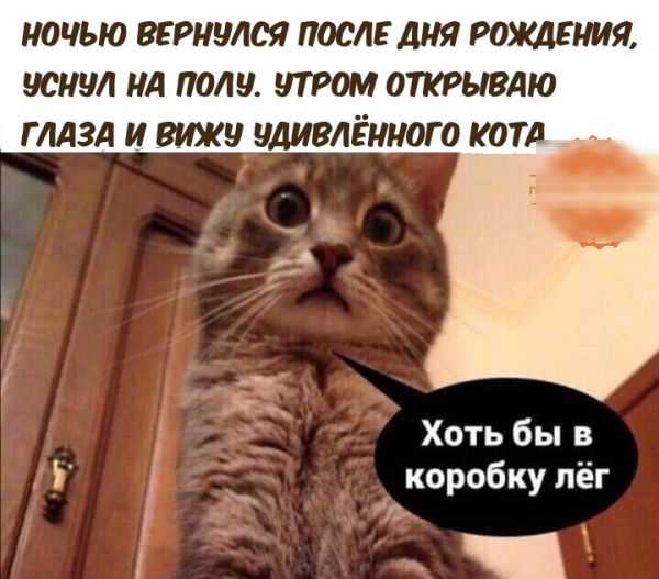 НОЧЬЮ РНЦЮЛ ПОСЕ АНЯ НСНУ НА полу ЦТРОМ ОТКРЫВАЮ ГЛАЗА И ВИ ДИВЛЁМЮГО КОТ1 Хоть бы в коробку лёг
