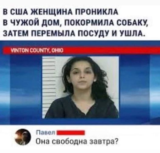 В США ЖЕНЩИНА ПРОНИКЛА В ЧУЖОЙ дом ПОКОРМИЛА СОБАКУ ЗАТЕМ ПЕРЕМЫПА ПОСУдУ И УШПА диомннмН лиц ці і _ Он вободна завтра