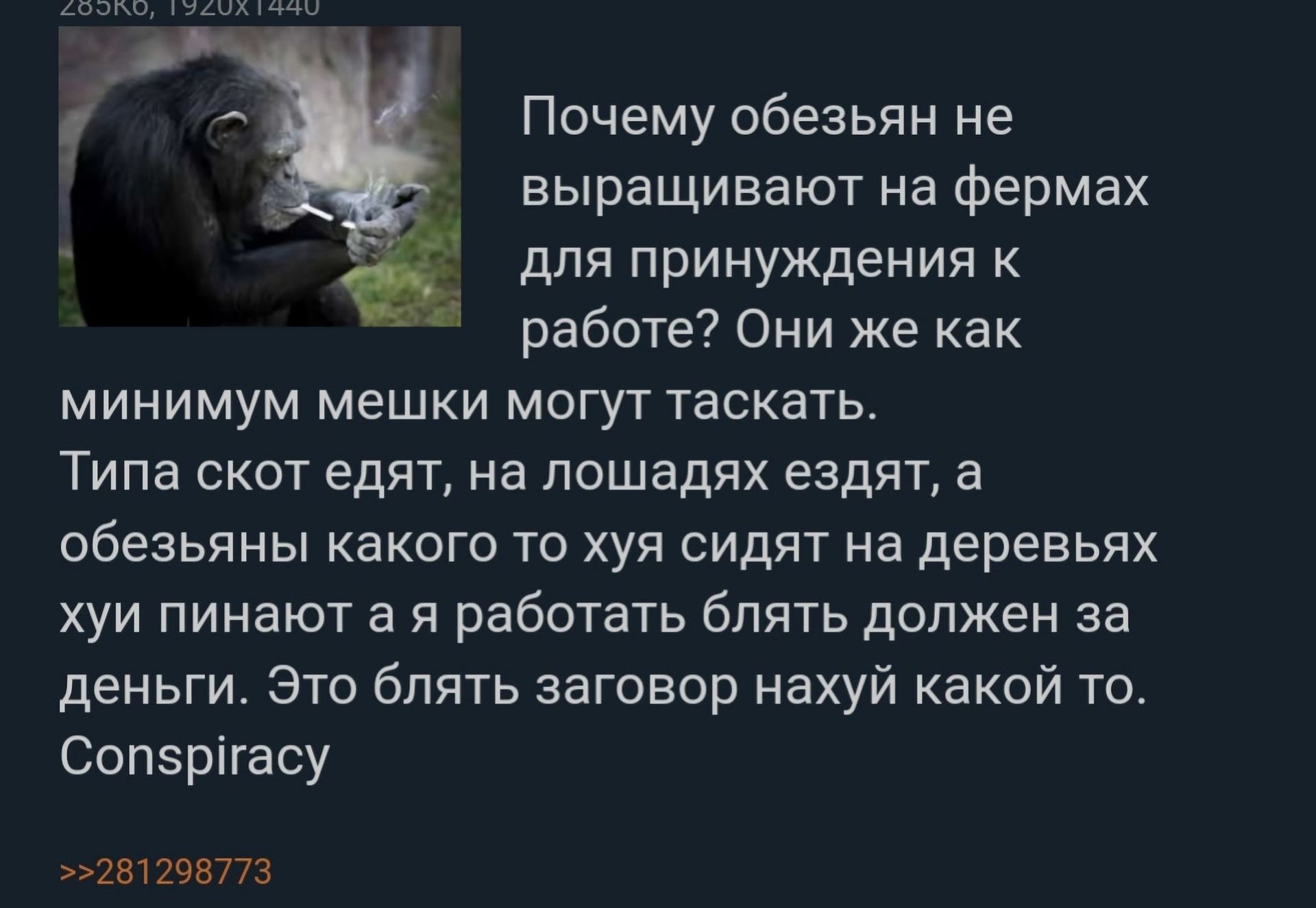 Почему обезьян не выращивают на Фермах для принуждения к работе Они же как минимум мешки могут таскать Типа скот едят на лошадях ездят а обезьяны какого то хуя сидят на деревьях хуи пинают а я работать блять должен за деньги Это блять заговор нахуй какой то Сопзрігасу 2Щ295773