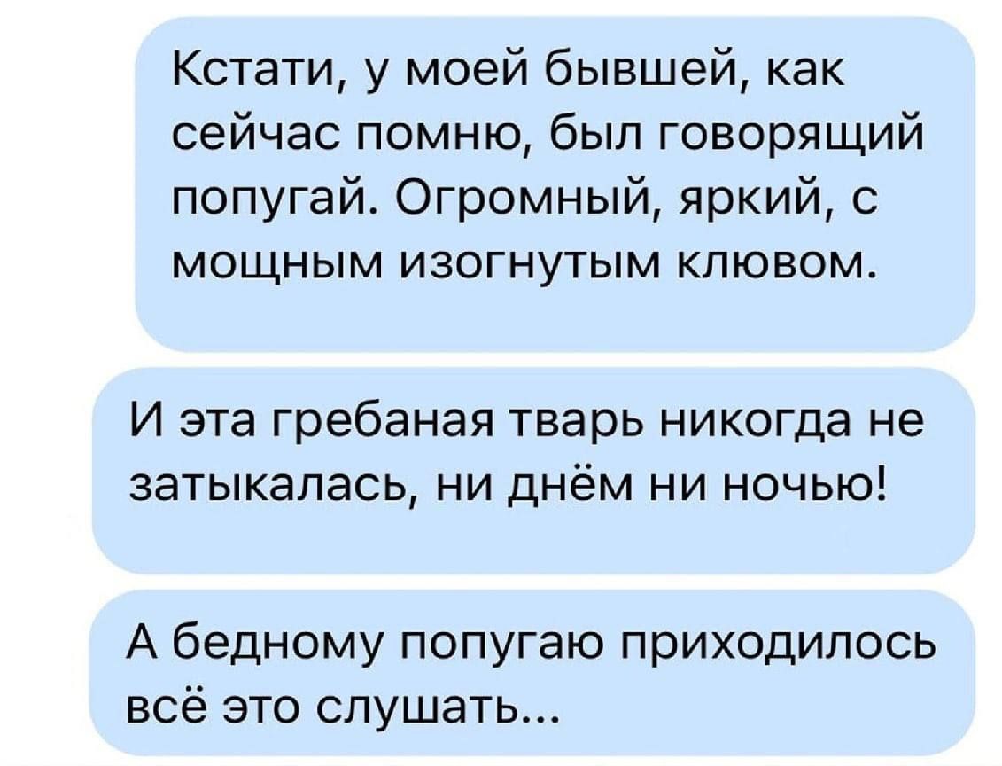 Кстати у моей бывшей как сейчас помню был говорящий попугай Огромный яркий с мощным изогнутым клювом И эта гребаная тварь никогда не затыкапась ни днём ни ночью А бедному попугаю приходилось всё это слушать