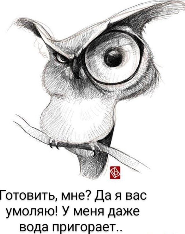 г Готовить мне да я вас умоляю У меня даже вода пригорает
