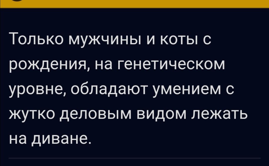 Только мужчины и коты с рождения на генетическом уровне обладают умением жутко деловым видом лежать на диване