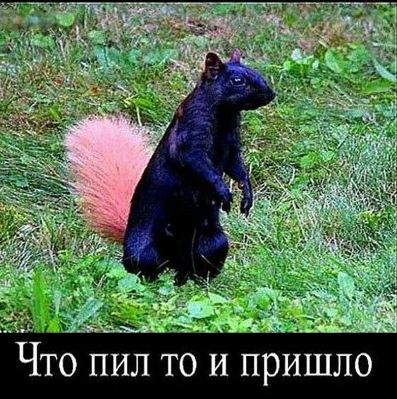 _м 0 ПИЛ ТО И ПРИШЛО