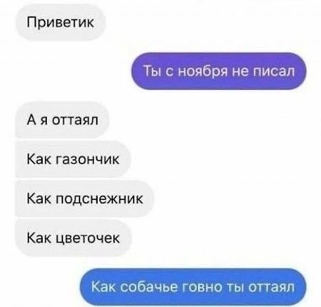 Приветик Ты с ноября не писал А я пттаял Как гааончик Как подснежник Как цветочек 1чы цинк и он им