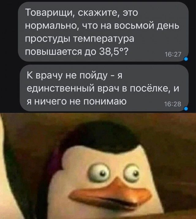 Товарищи скажите это нормально что на восьмой день простуды температура повышается до 385 1627 _ К врачу не пойду я единственный врач в посёлке и я ничего не понимаю в